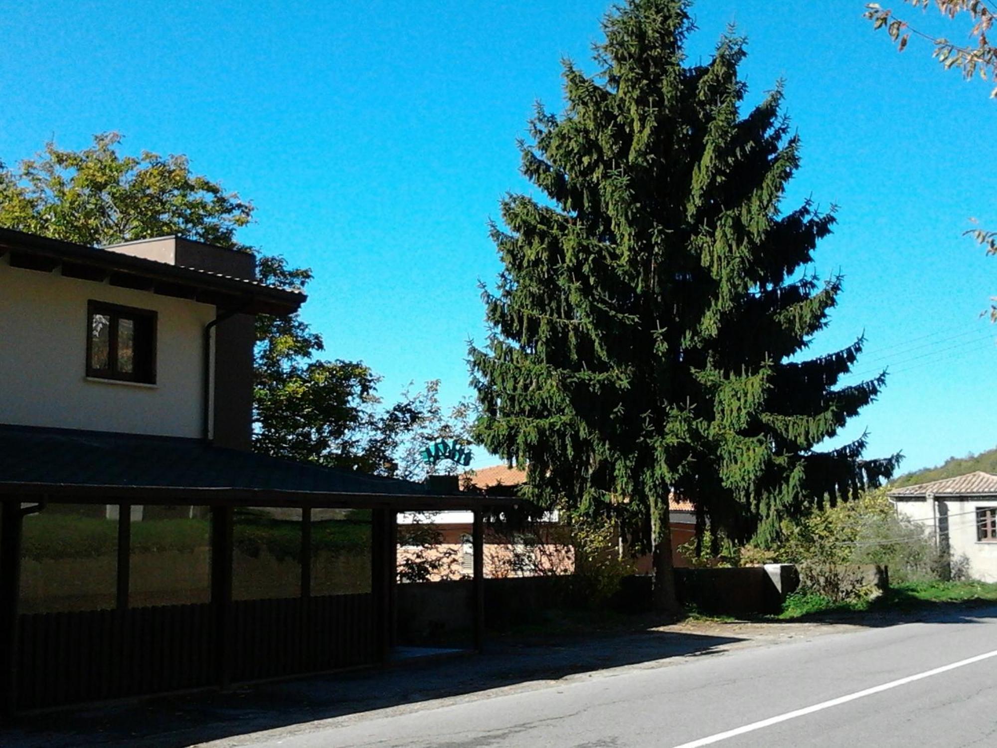 Agrihotel Papaya San Pietro Apostolo Zewnętrze zdjęcie